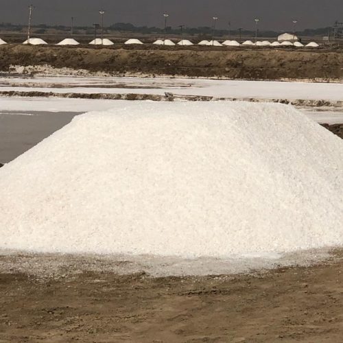 WhatsApp Image 2020-02-13 at 9.13.22 AM (1)